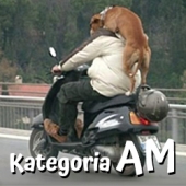 ikonakatAM