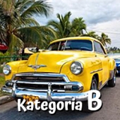 ikonakatB
